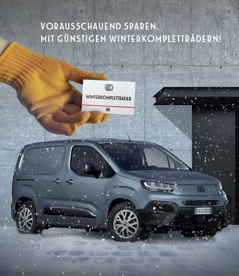 Fiat Professional Reifen